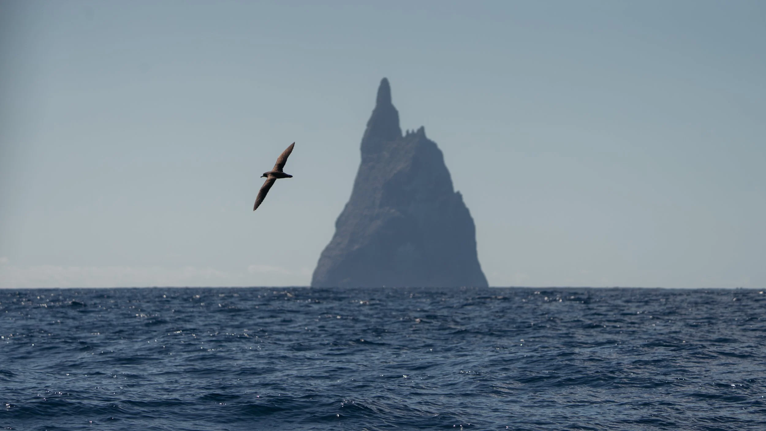 LORD HOWE ISLAND-9.jpg