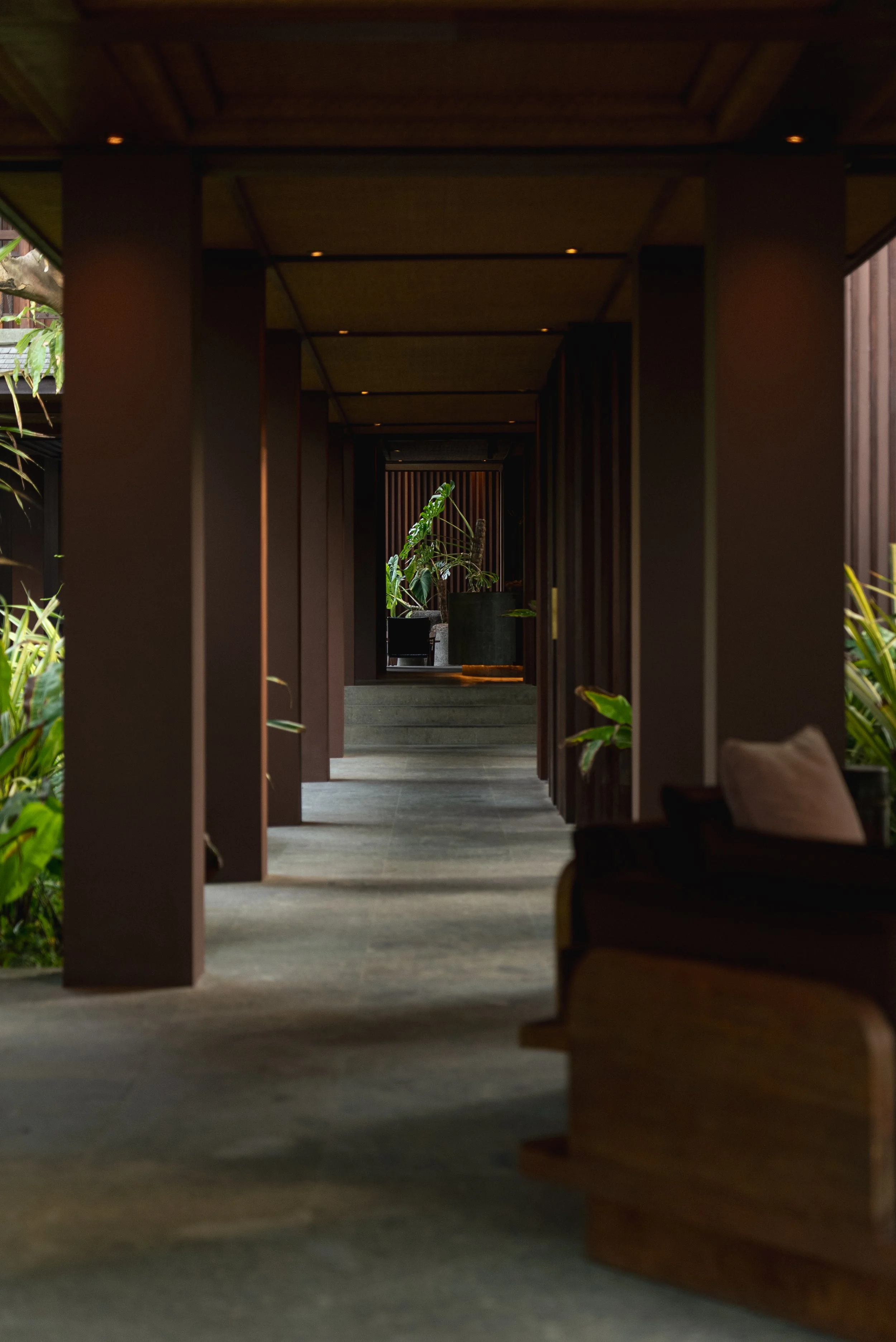 An image of Lost Lindenberg.