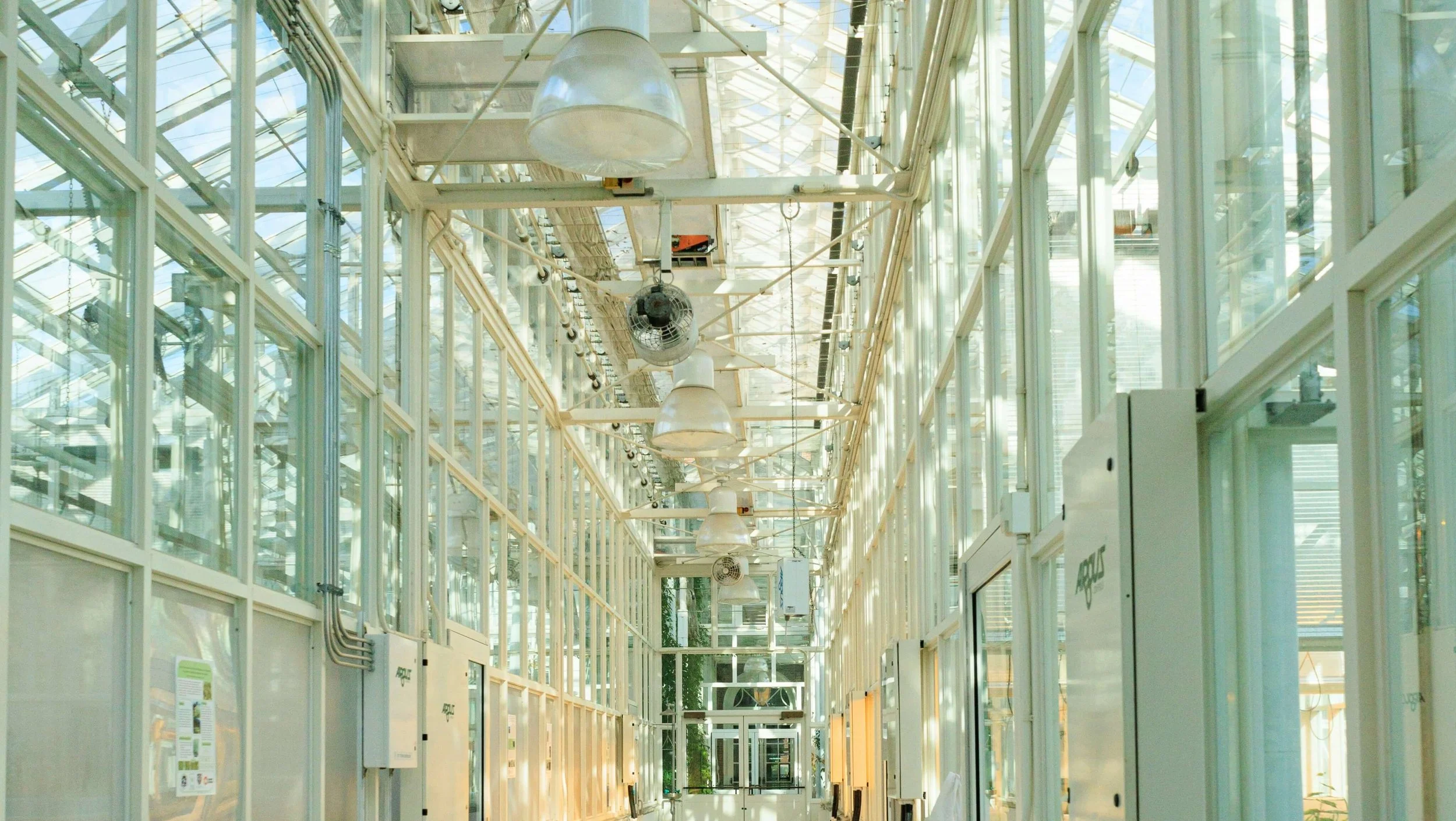 building interior corridor with windows jan walter luigi unsplash