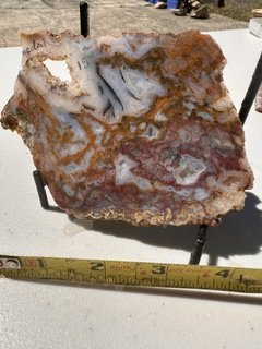 image5.jpeg