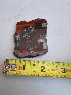 image4.jpeg
