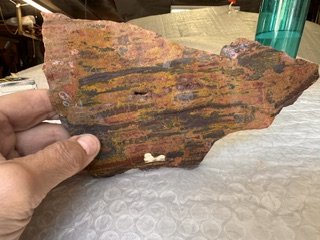 image13.jpeg