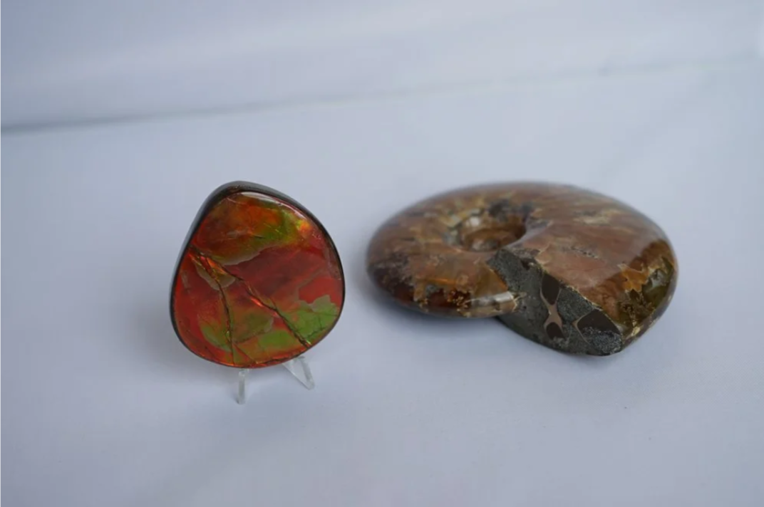 Two polished stones, one with red, green, and black patterns on a stand and the other with brown and black swirled patterns on a white surface.