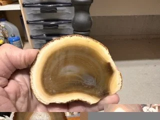 Agate Specimen 03