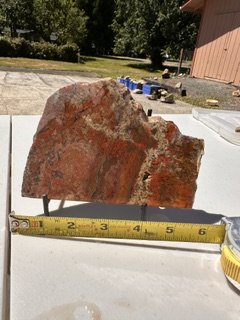 image6.jpeg