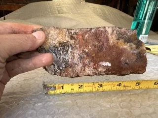 image9.jpeg