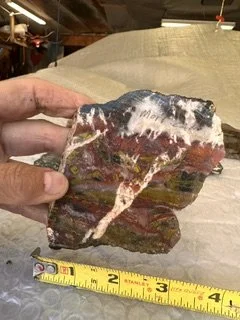 image7.jpeg