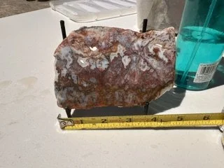 image1.jpeg