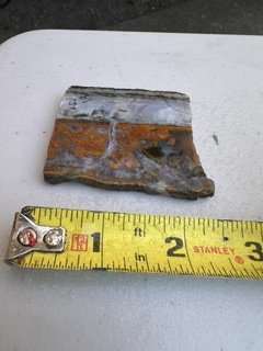 image3.jpeg
