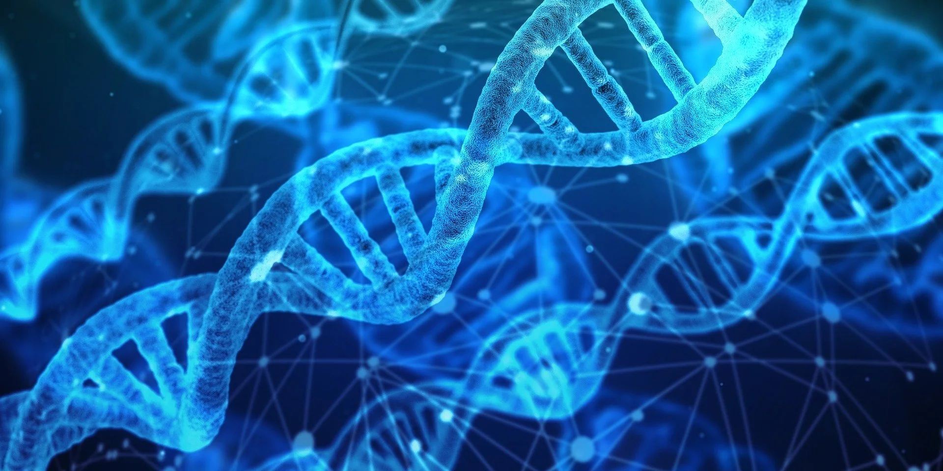 Digital illustration of a DNA double helix in glowing blue against a dark background with a network of interconnected nodes