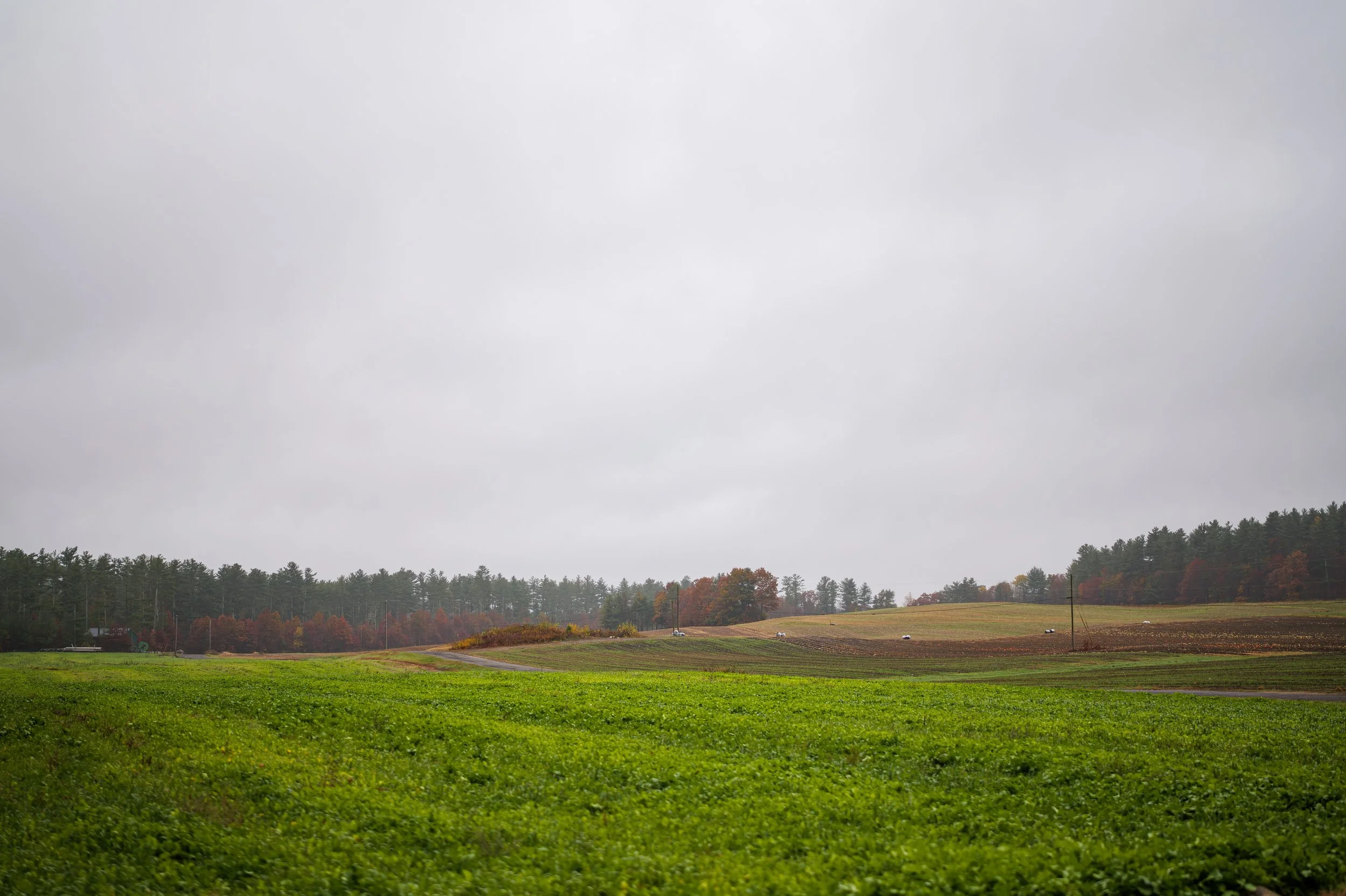 Backroads Collection Photo