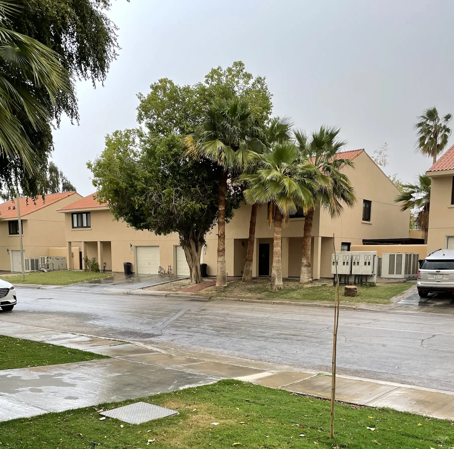 Residential neighborhood with beige townhouses, a wet street, several green trees including palm trees, and a gray sky.