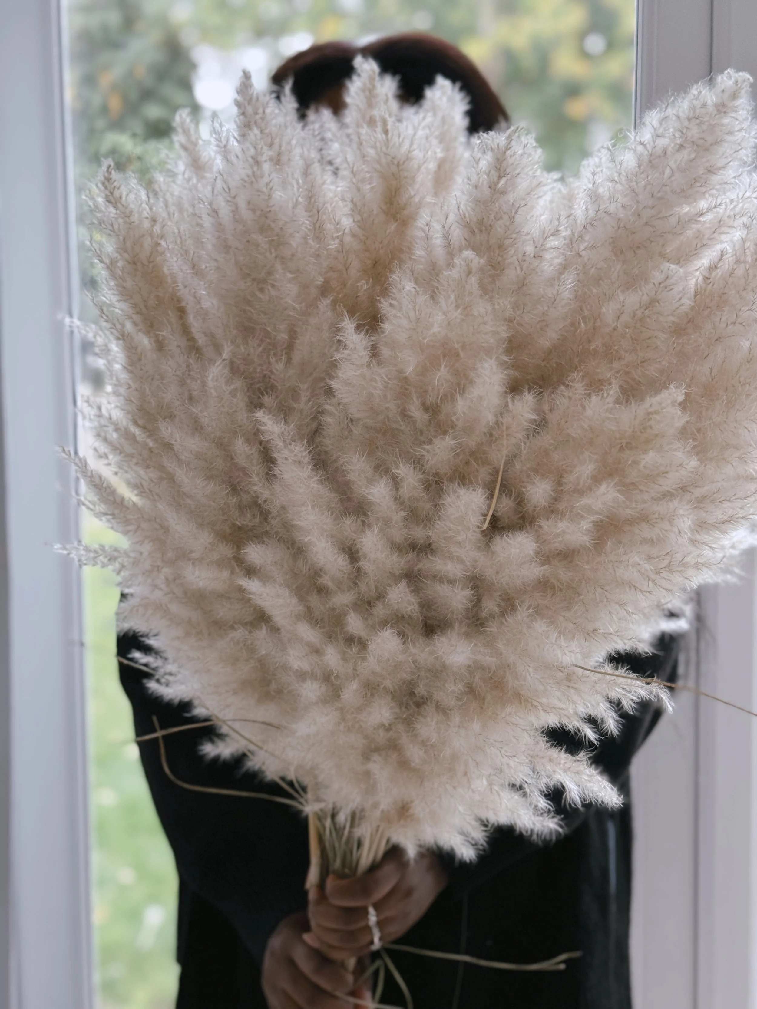 5 Stems  - Our Natural Toned Extra Fluffy Pampas