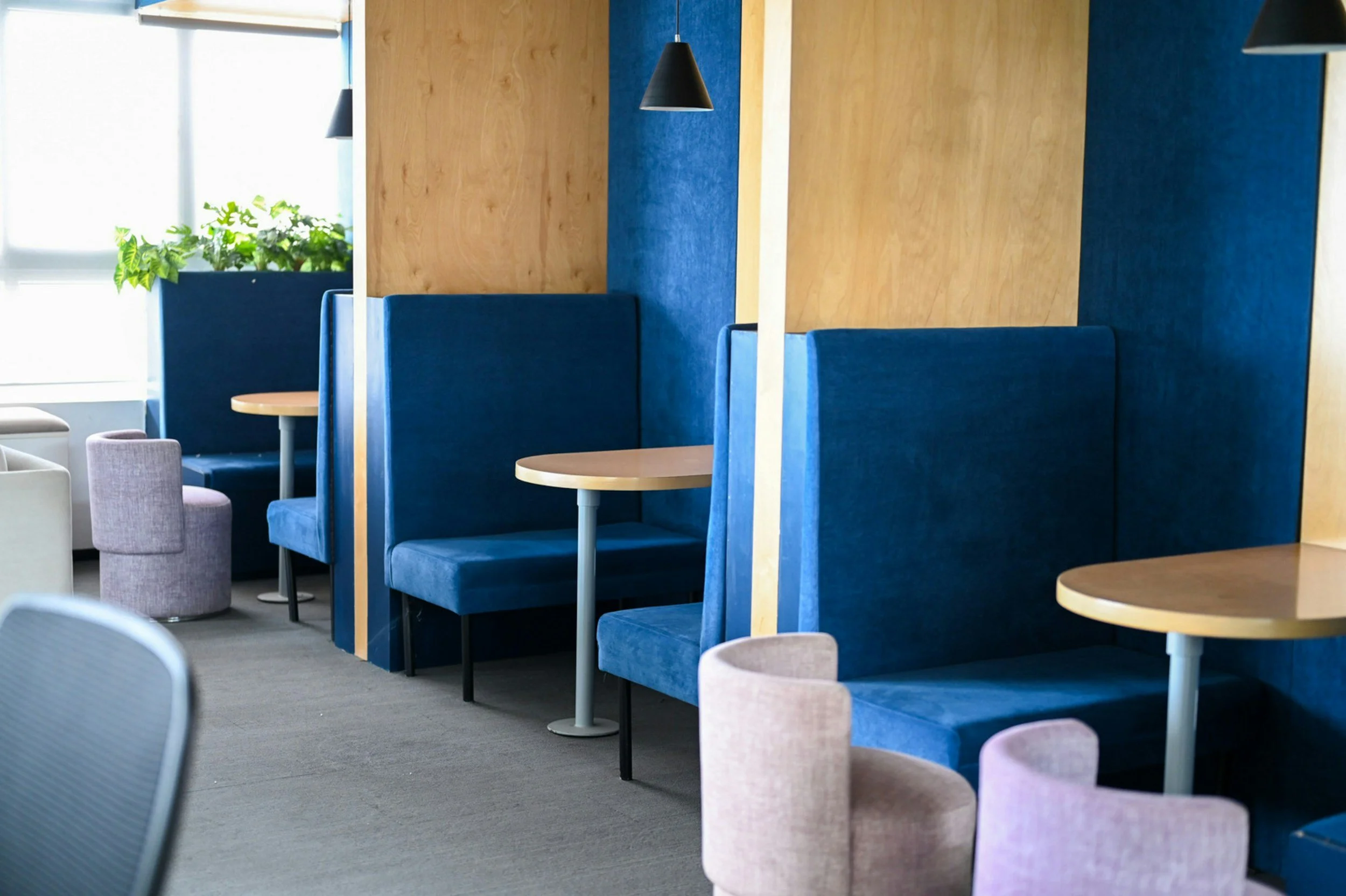 Interior of a modern cafe with blue booths, small round tables, a gray chair, and beige chairs, with large windows and a potted plant near the window.