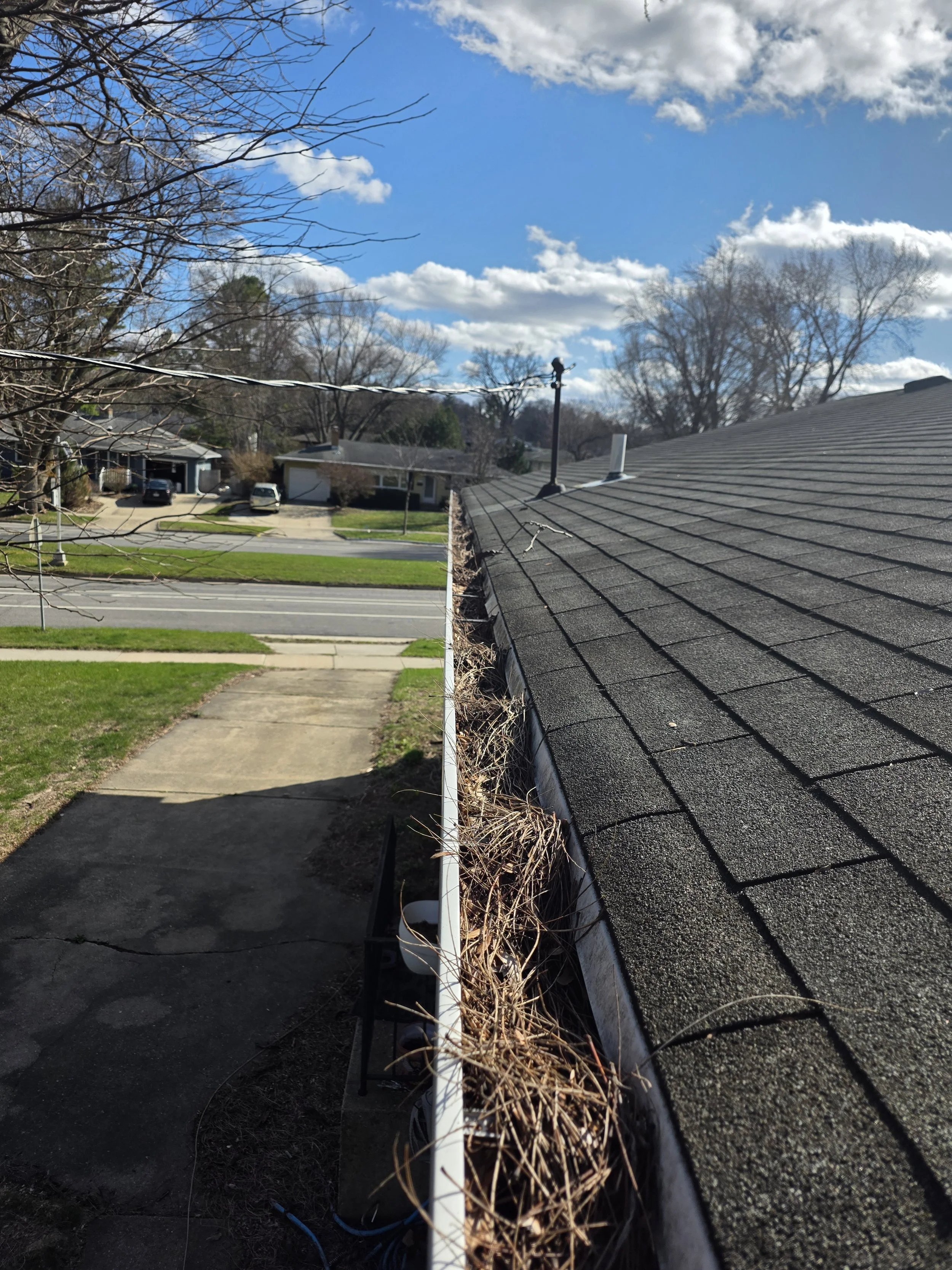 A residential neighborhood street view focused on a house with a dark shingled roof on a sunny day, showing a gutter filled with dried leaves and small twigs.