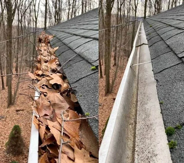 Comparison of a roof gutter filled with dead leaves on the left and cleaned on the right, with a wooded area in the background.