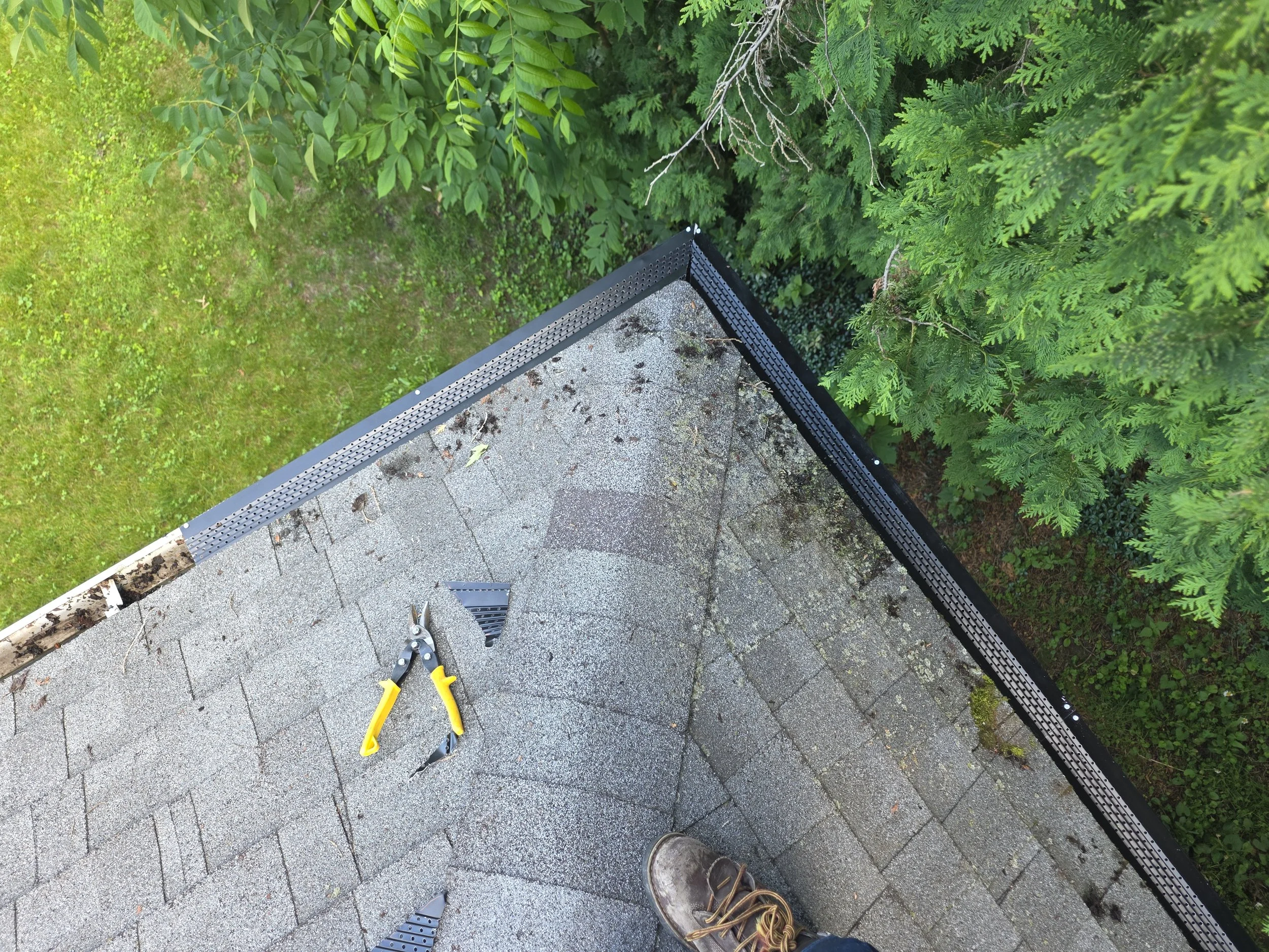 20260623_165341.jpg