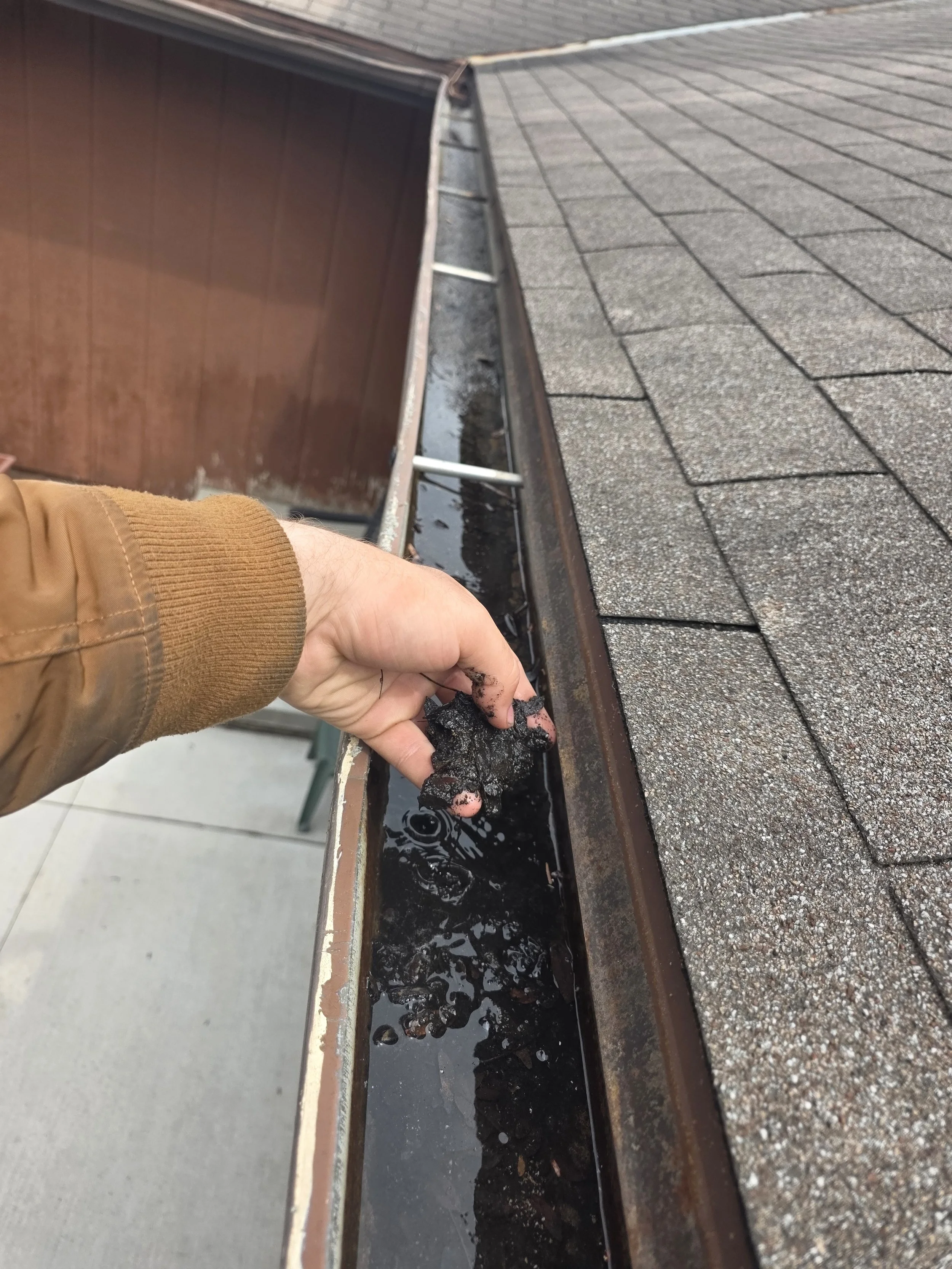 What Are the Signs Your Gutters Need Professional Cleaning?