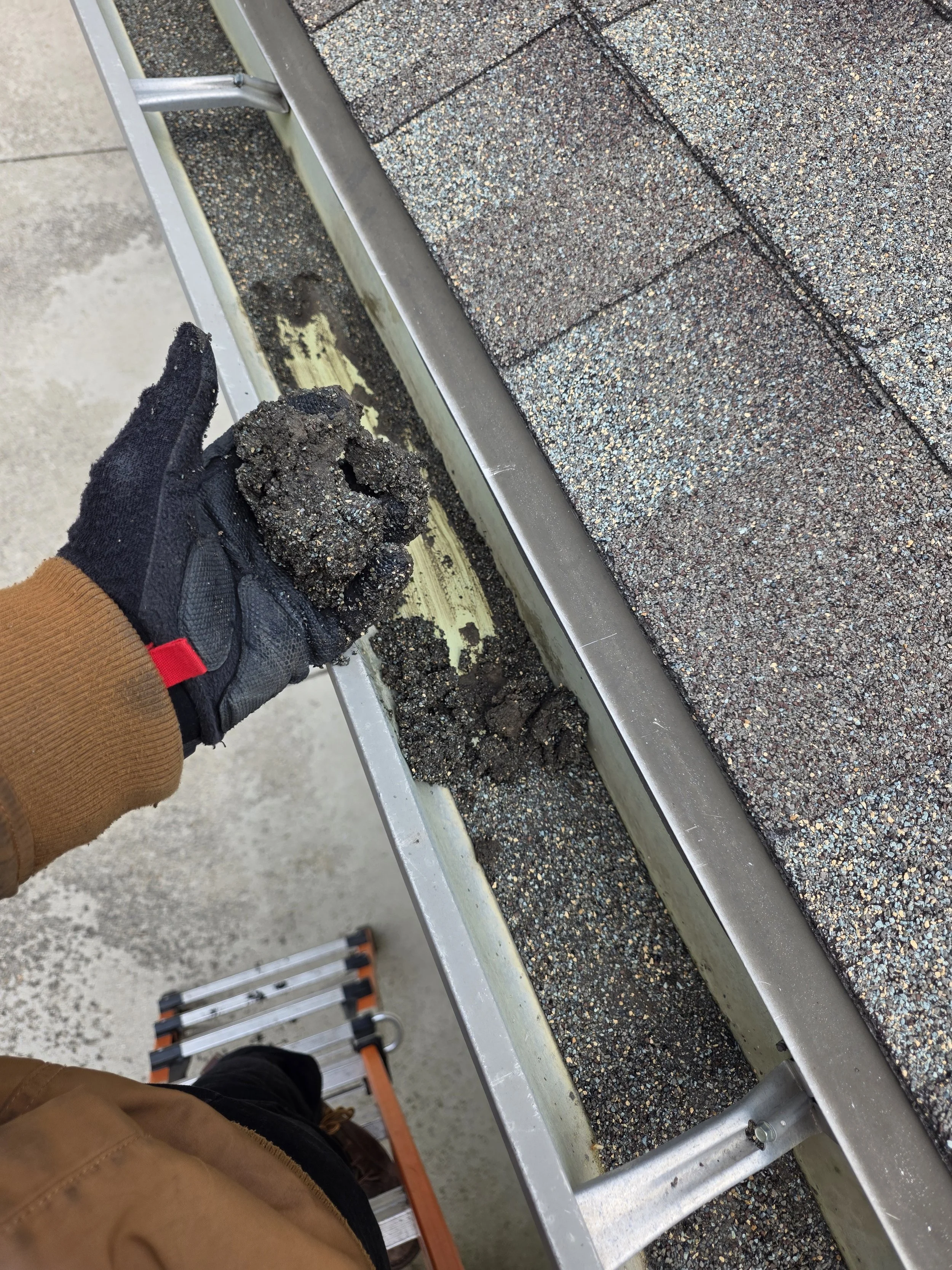 Person wearing black gloves and brown jacket peeling off old roofing shingles from a roof with a utility knife, metal rake, and ladder nearby.