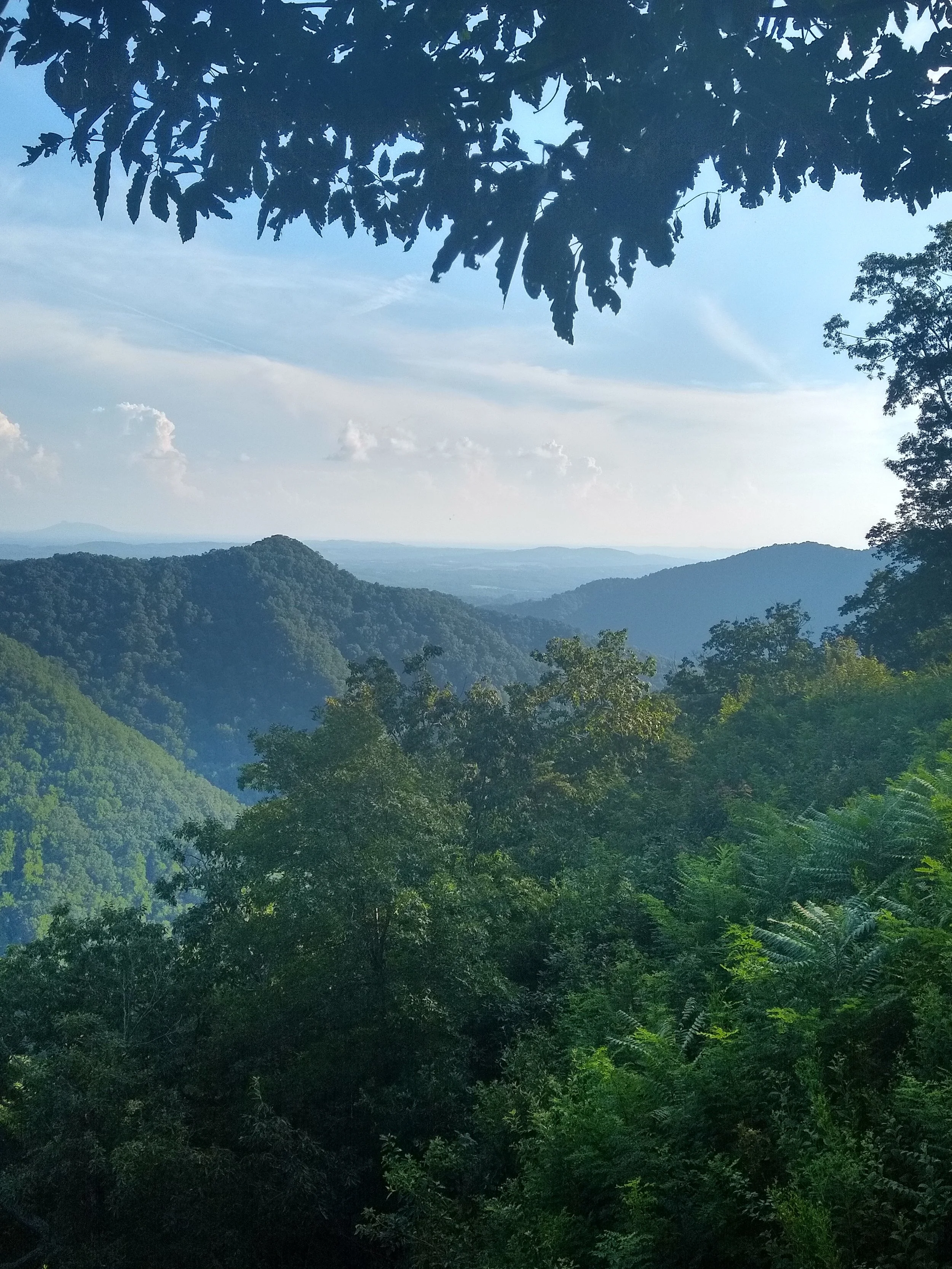 Landscape of green forested mountains under a partly cloudy sky, viewed from a shaded area with tree branches overhead.