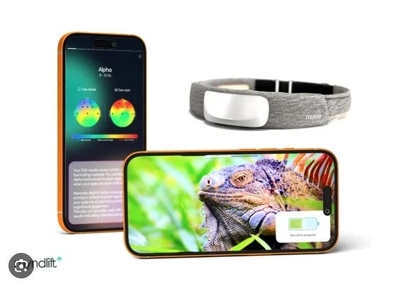 Measuring the Unmeasurable: How I Used Wearable Technology to Measure the Effect of Visual Journeying on Stress