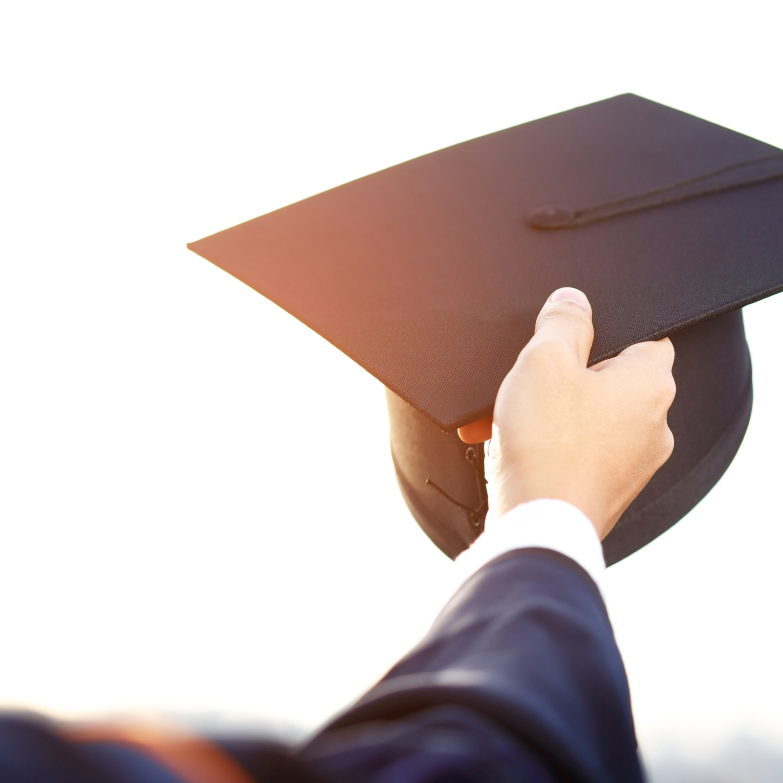 Alumni Website Study