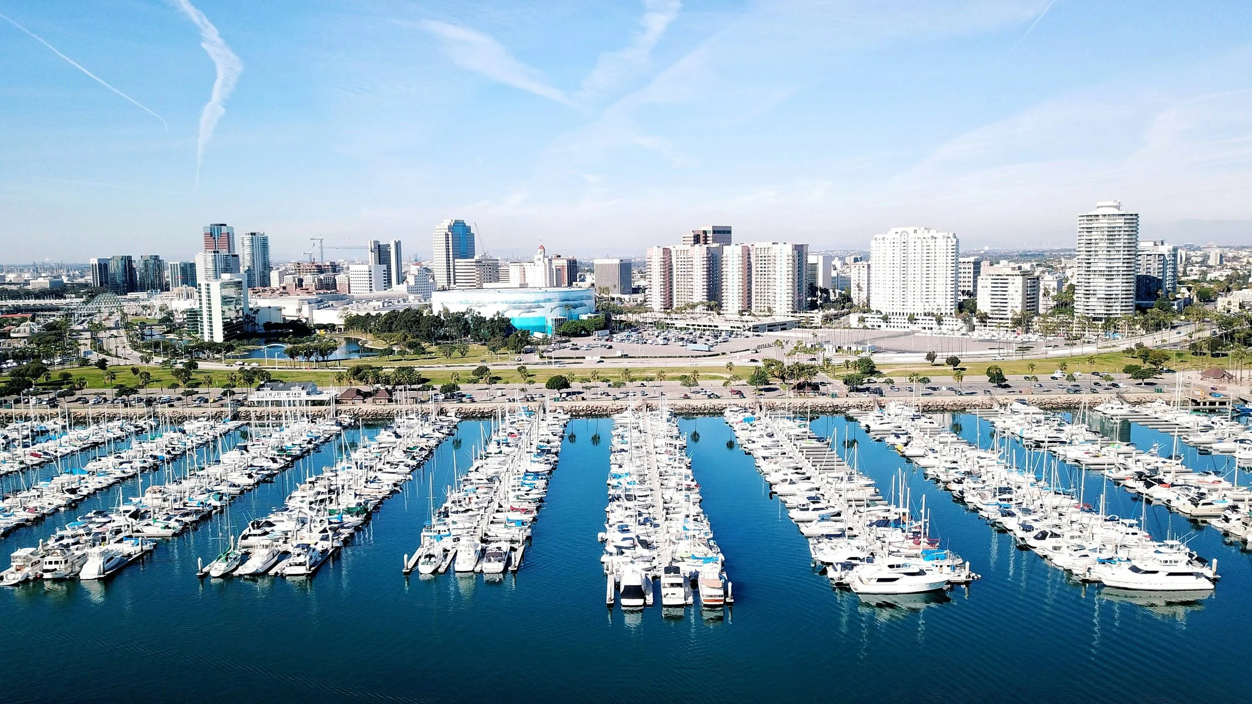 Downtown and Shoreline Marina