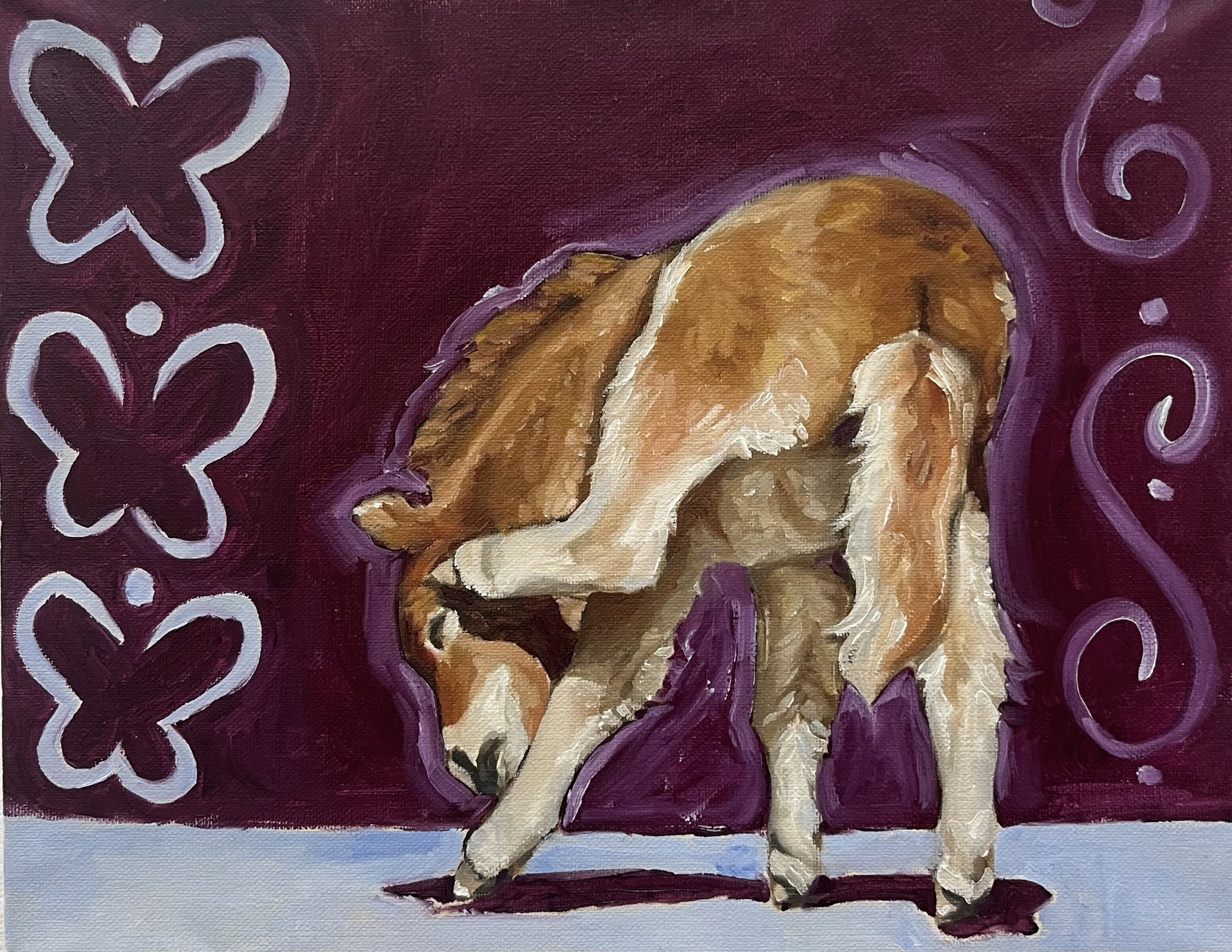 Foal, 11"x14", Oil on Canvas