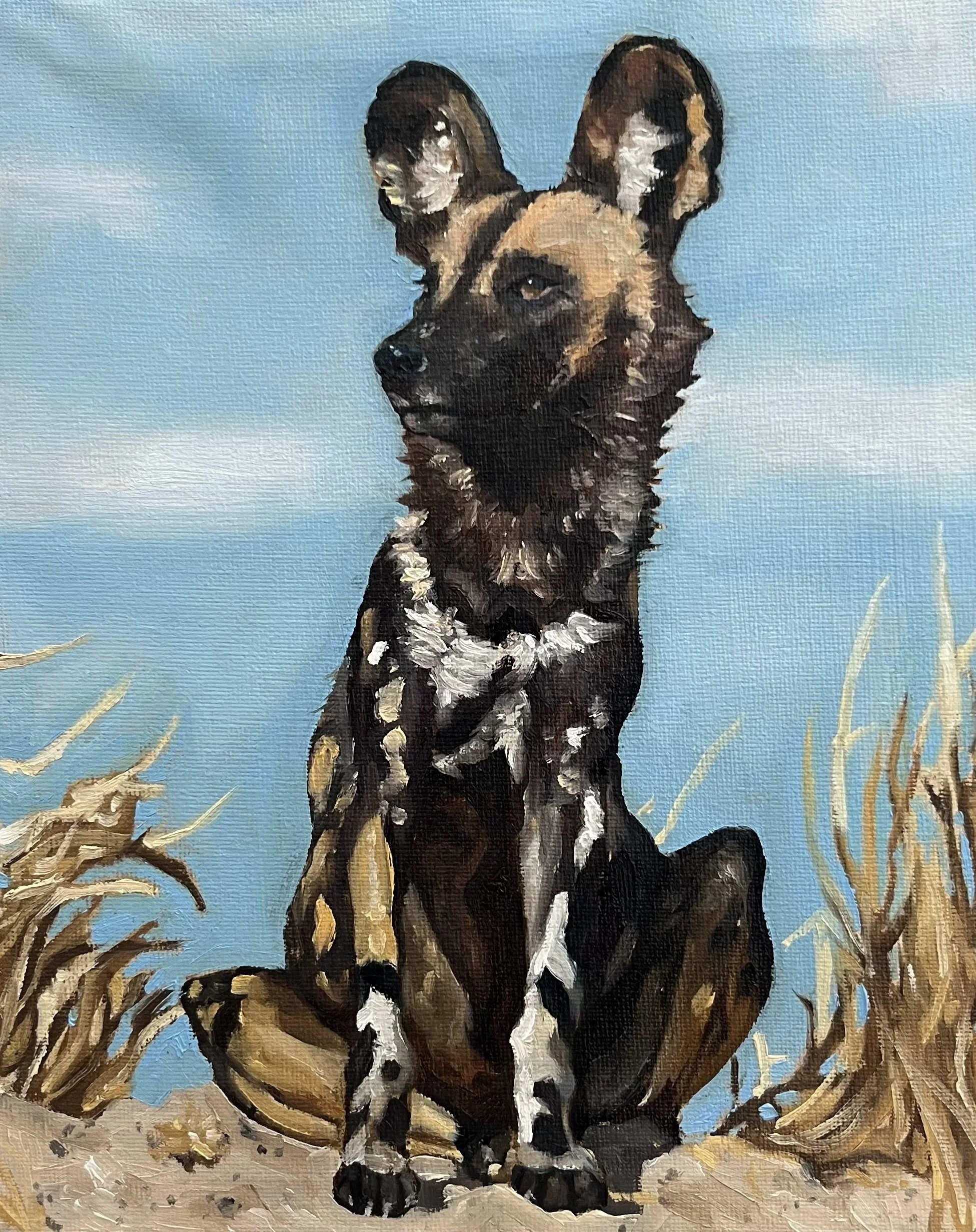 African Wolf Dog, 8"x10", Oil on Canvas