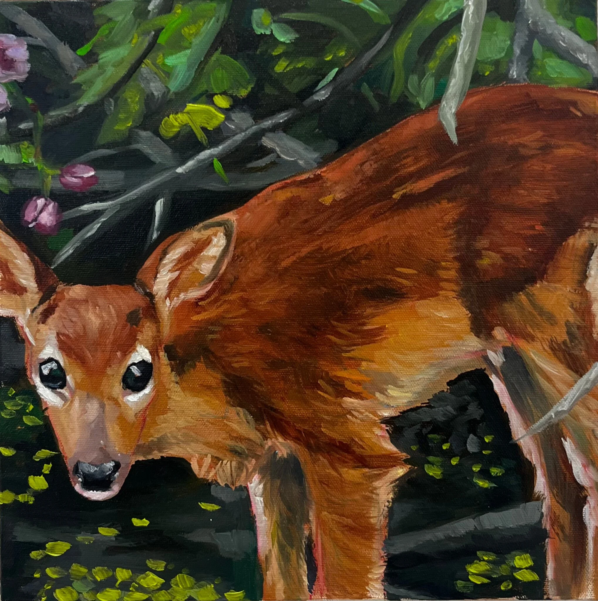 Cognizance, 12"x12", Oil on Canvas