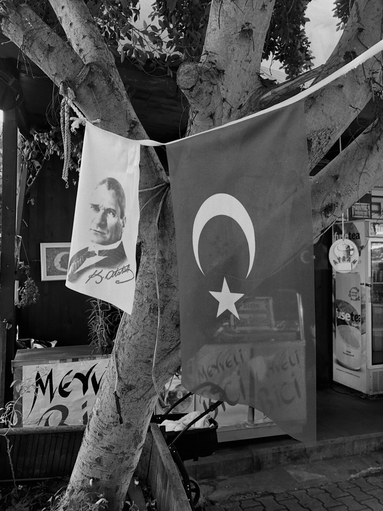 A Turkish flag and a portrait banner hang beside a tree on a city street, photographed in black and white.