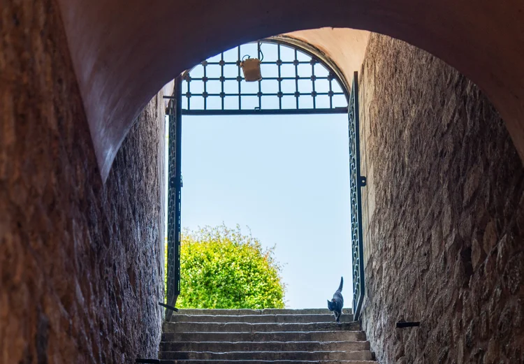 A pigeon stands at the top of stone steps beneath an archway opening onto bright sky and green foliage.