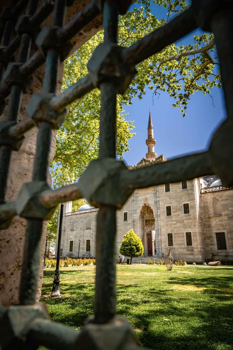 A sunlit garden and stone building with a minaret seen through a dark iron window grille.