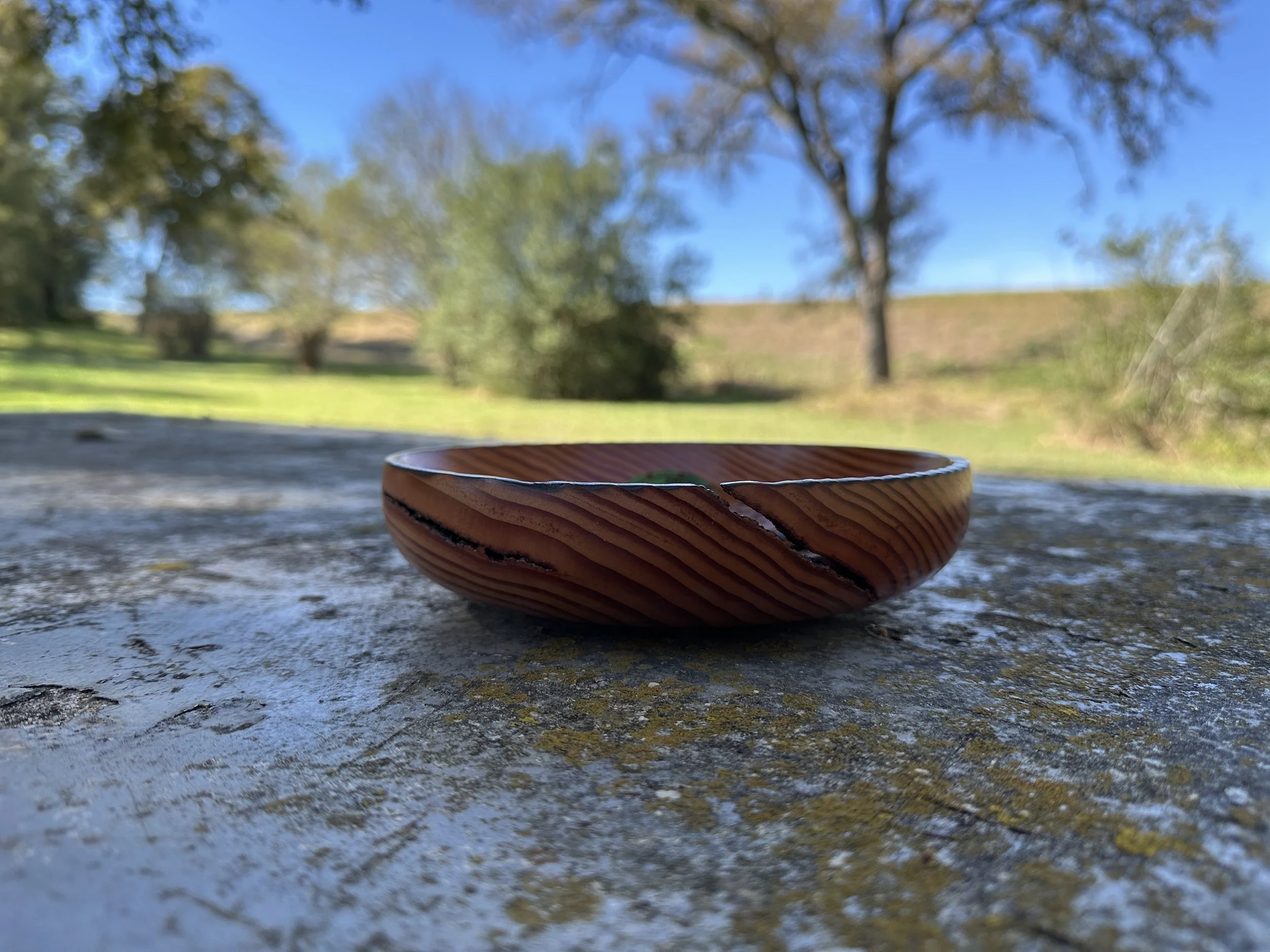 Douglas Fir Bowl