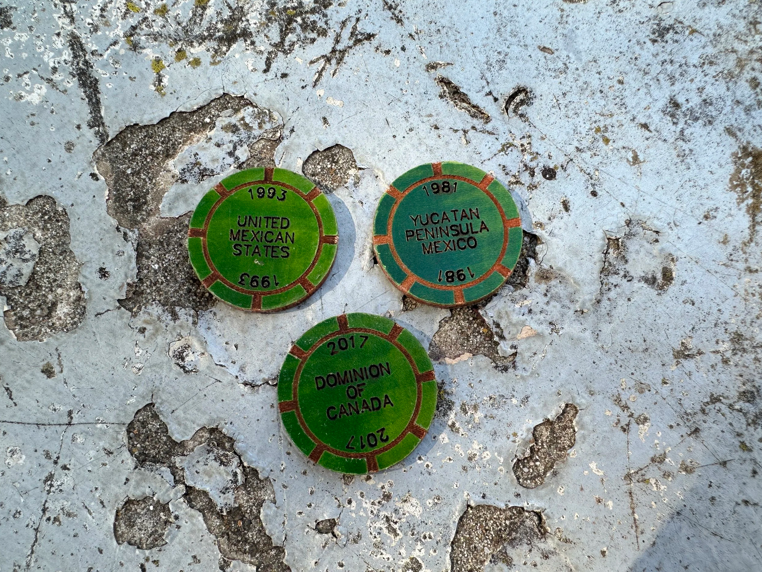 Americas Travel Chips - Green