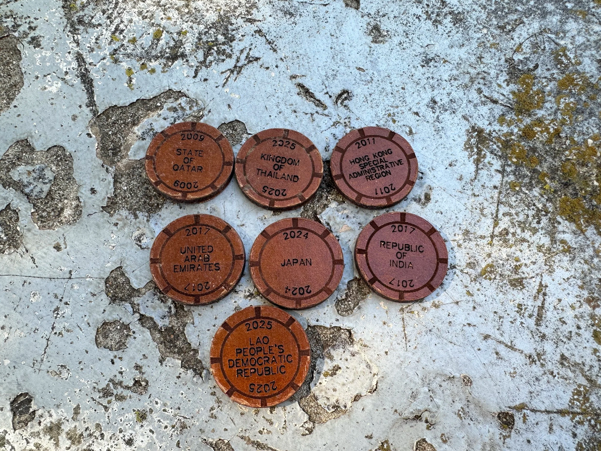 Asia Travel Chips - Brown