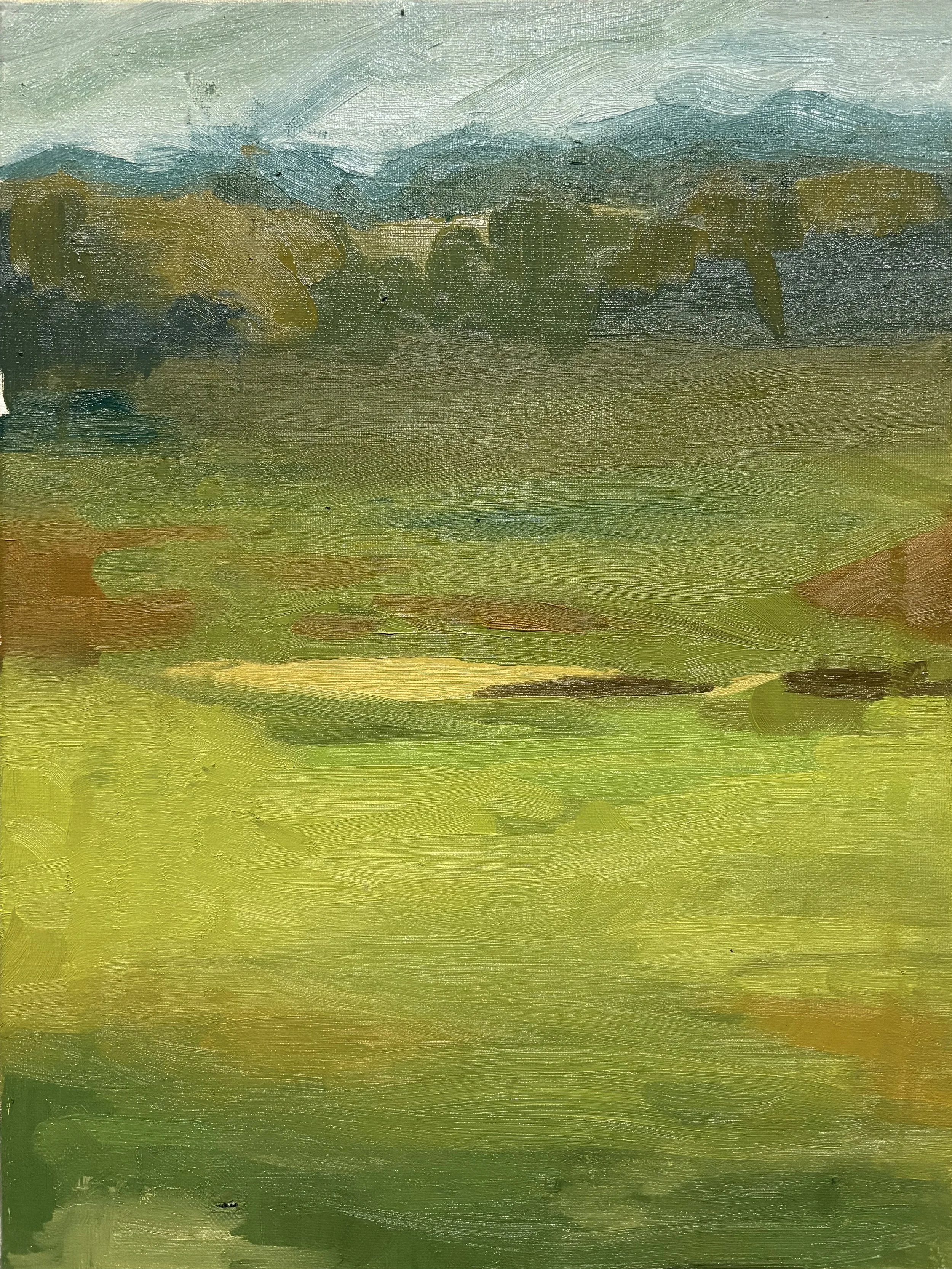 Terra Verte
12" x 16"
Oil on Canvas
July, 2025