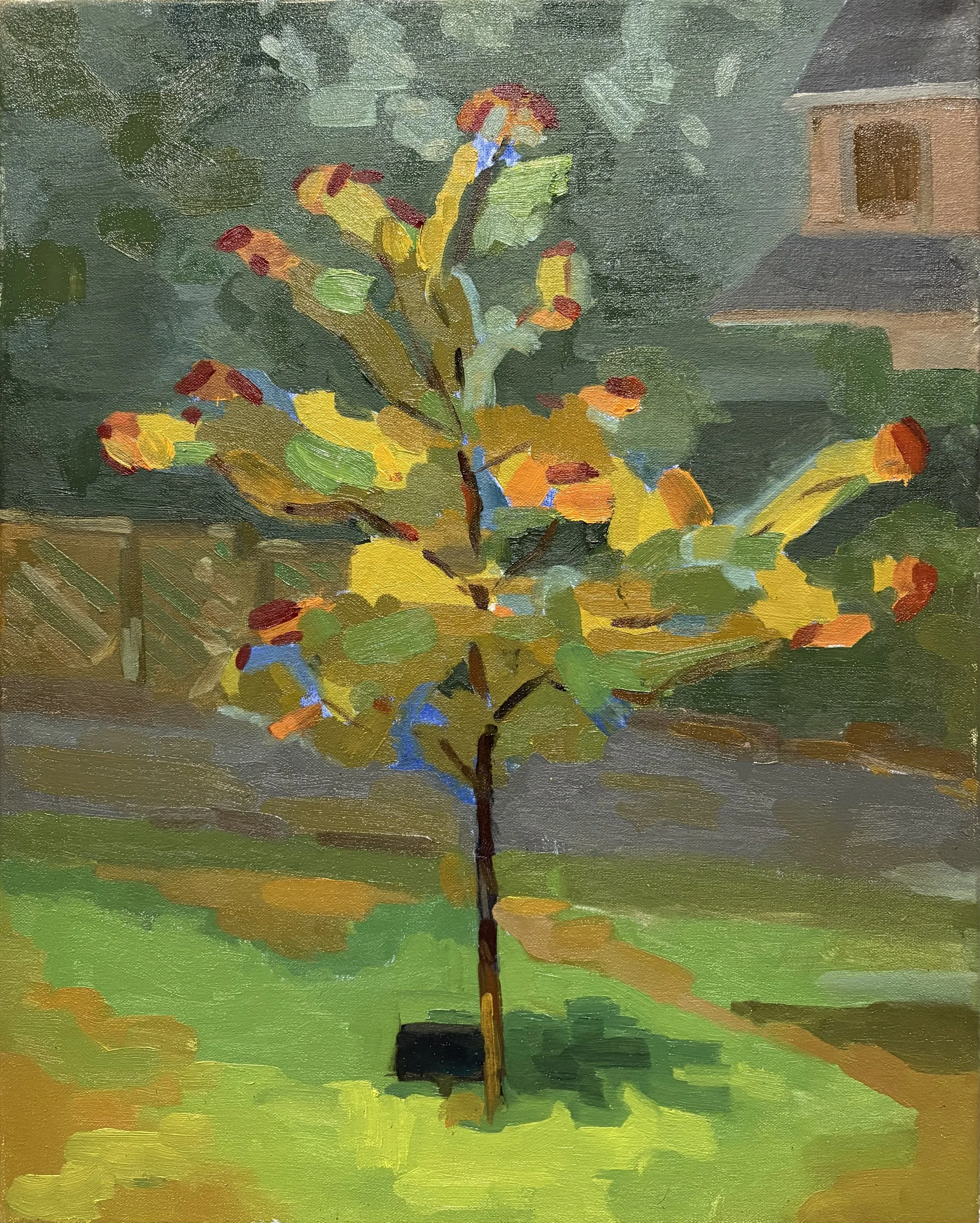 MGSOA Summer Intensive 2025