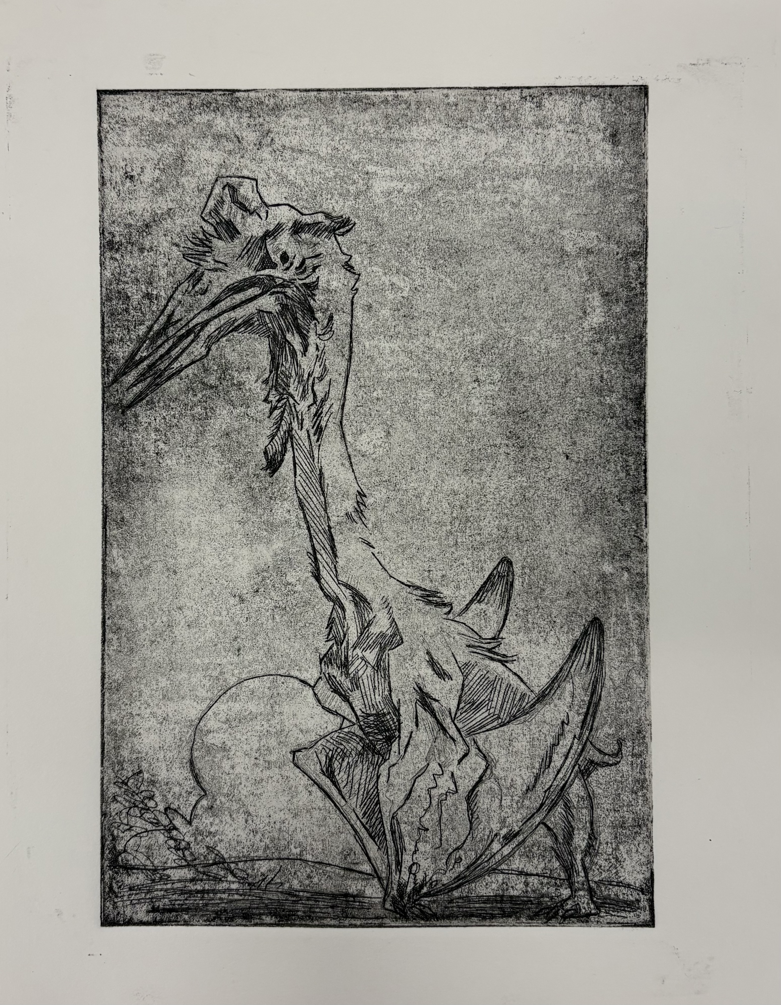 Quetzalcoatlus
10"x 11"
Hard Ground Etching
October 2025