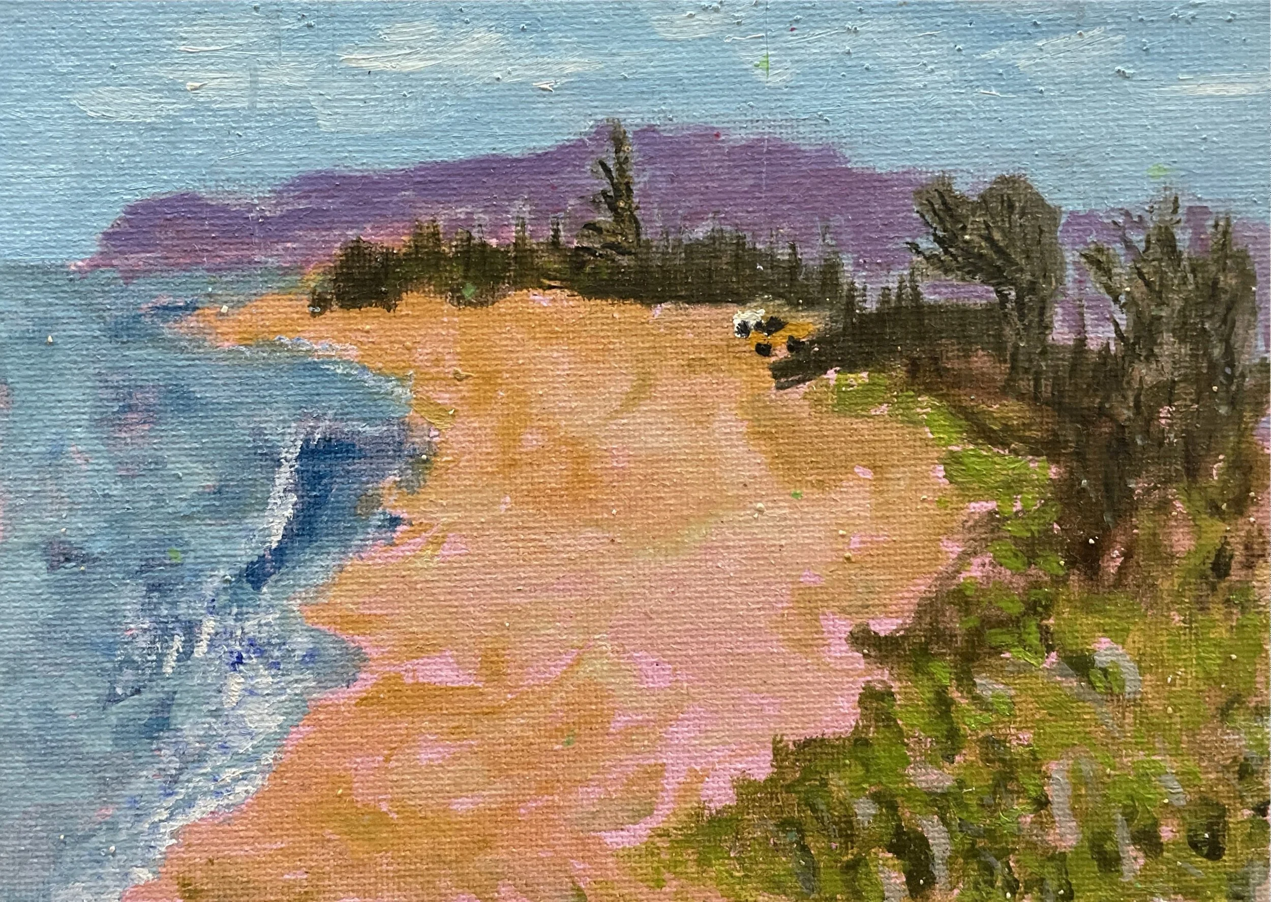 Scan Nov 14, 2024 at 10.54 PM.JPG