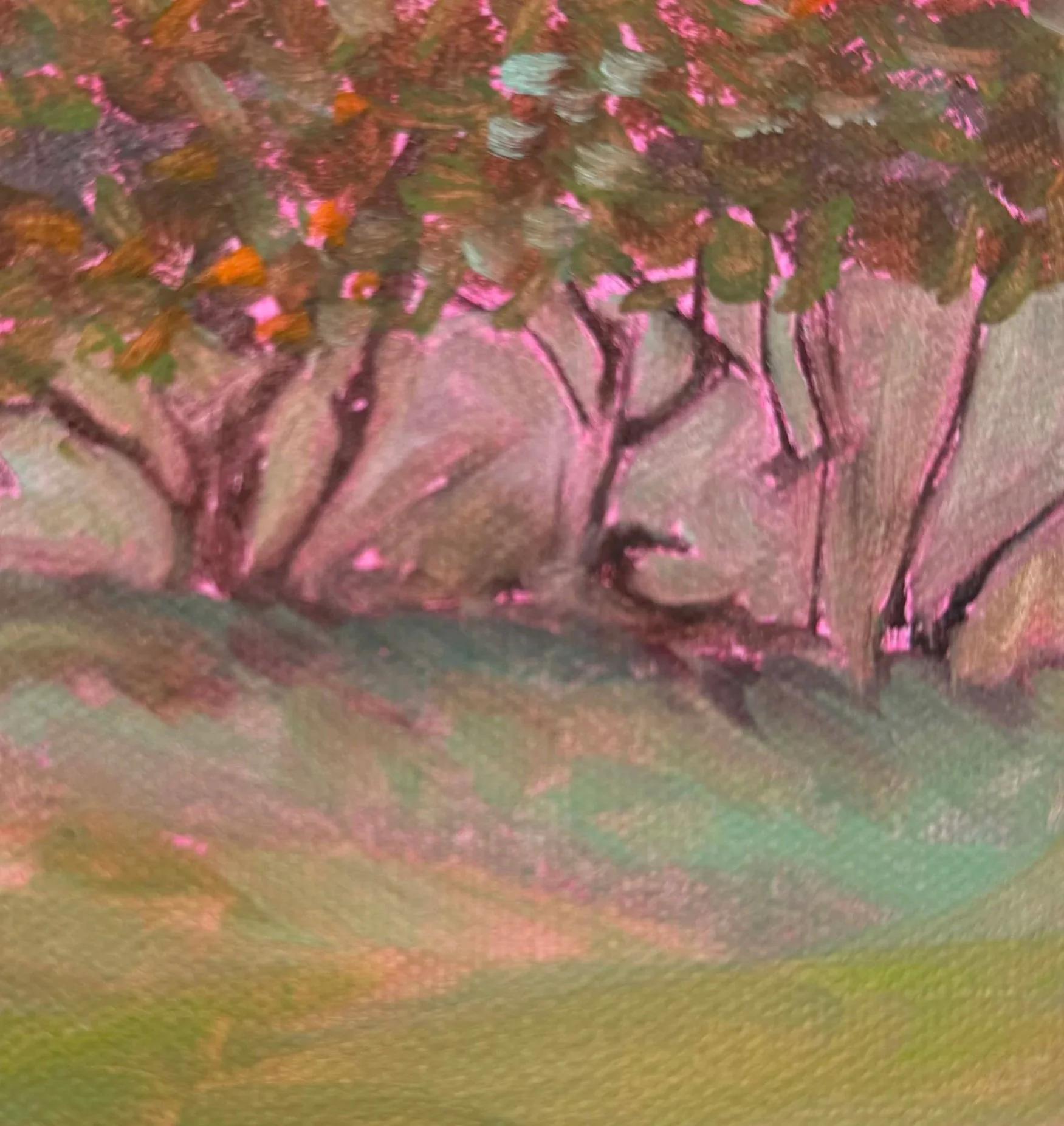 Close-up of a plant stem with pinkish new growth and small leaves, showing textured surface and branching pattern.