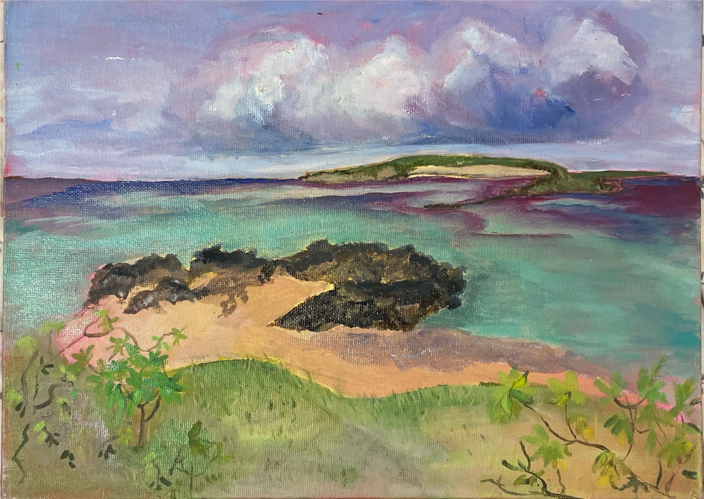 A landscape painting of a coastal scene with grassy foreground, sandy beach, rocks, turquoise water, and a distant hill under a cloudy sky.