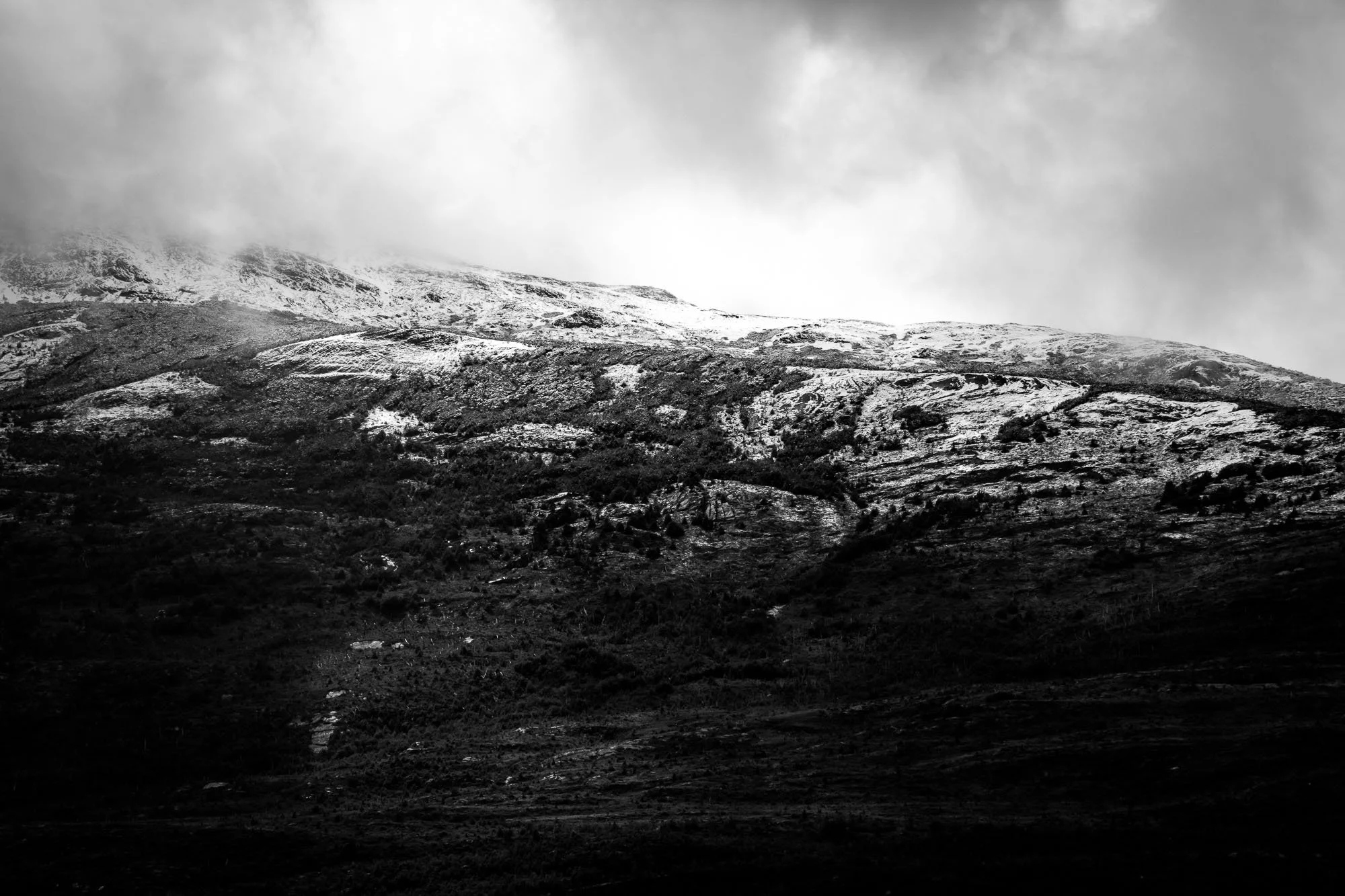 IMG_3048.jpg