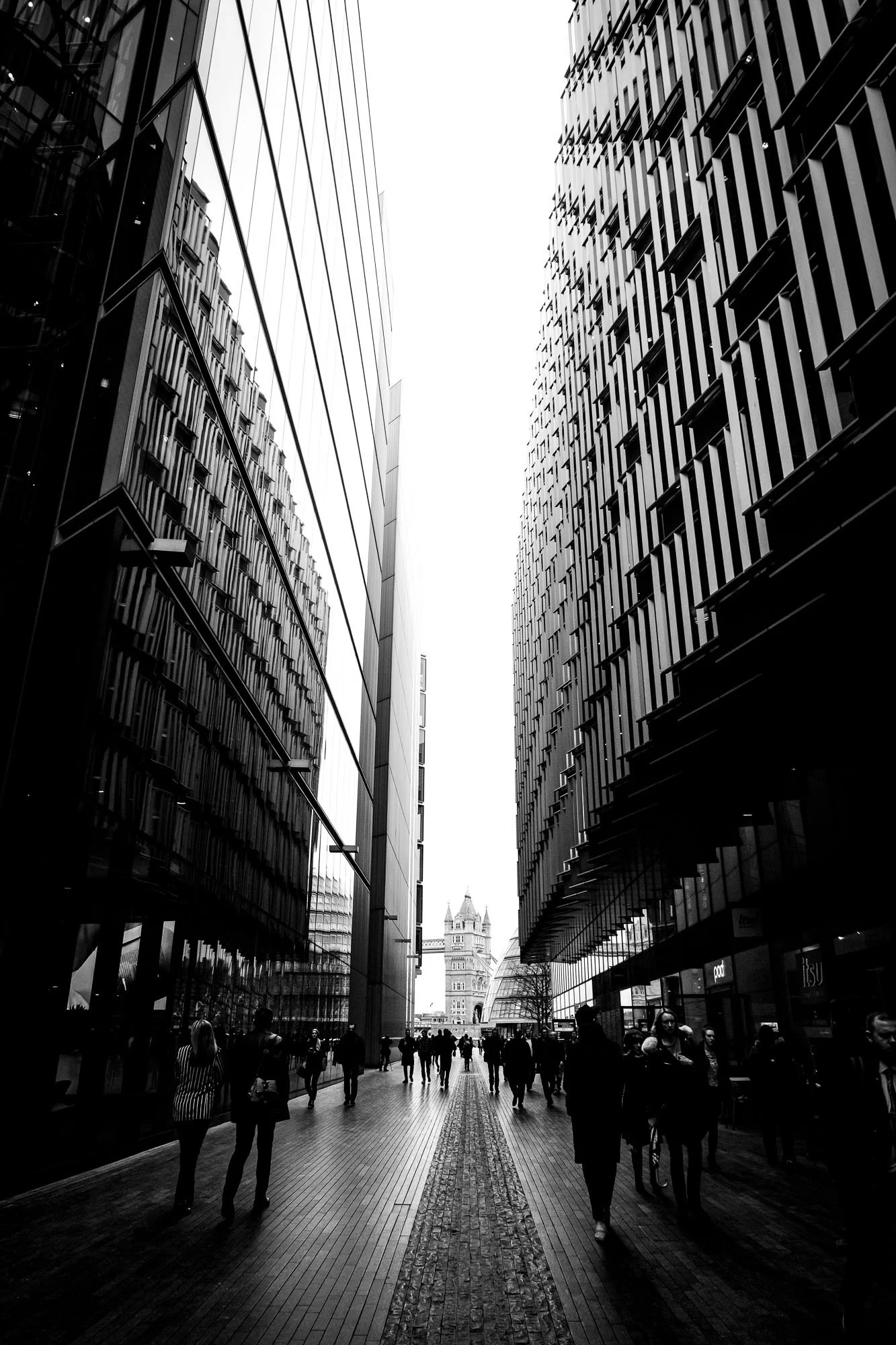 DSCF2576.jpg