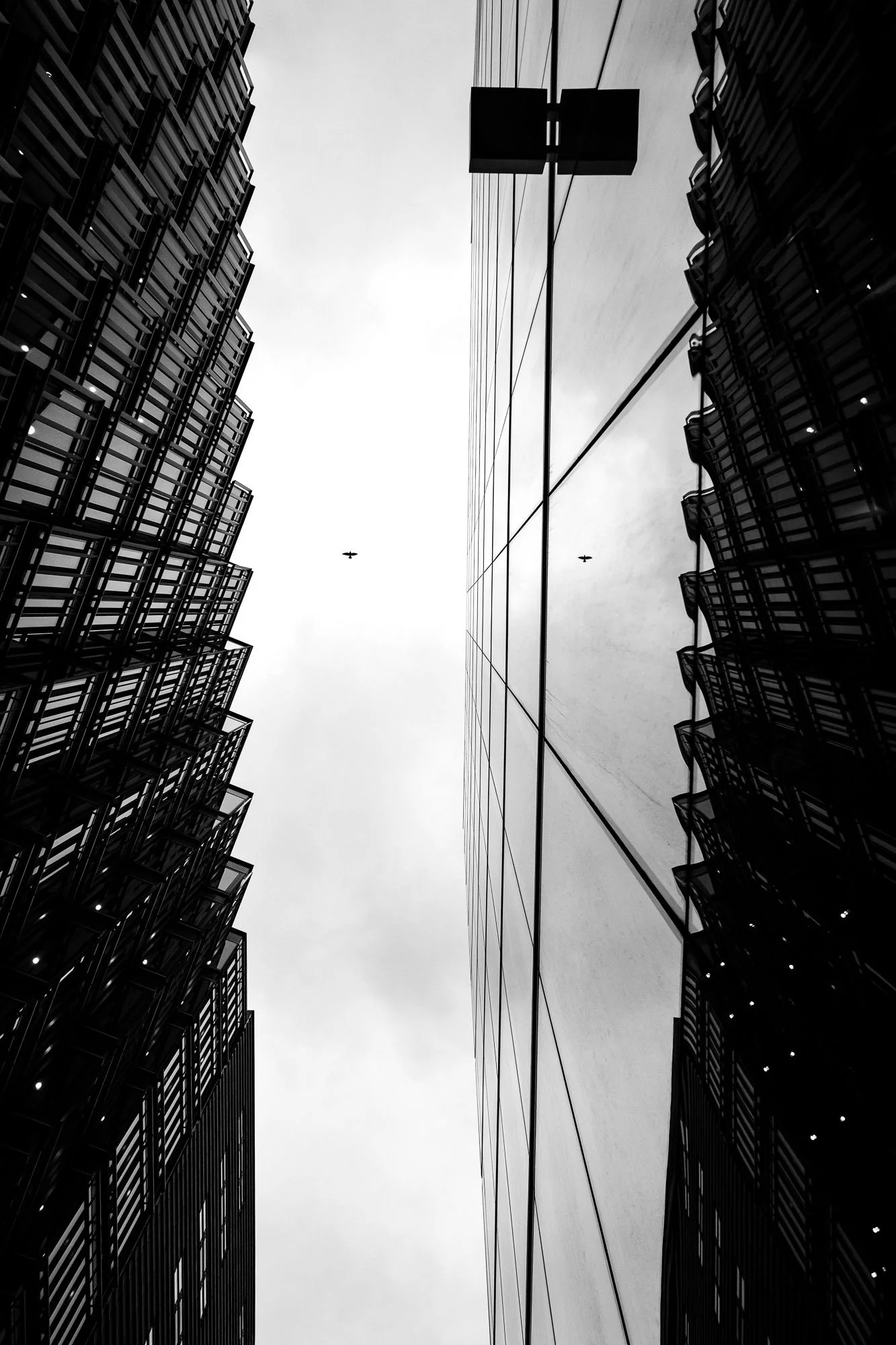 DSCF2564.jpg