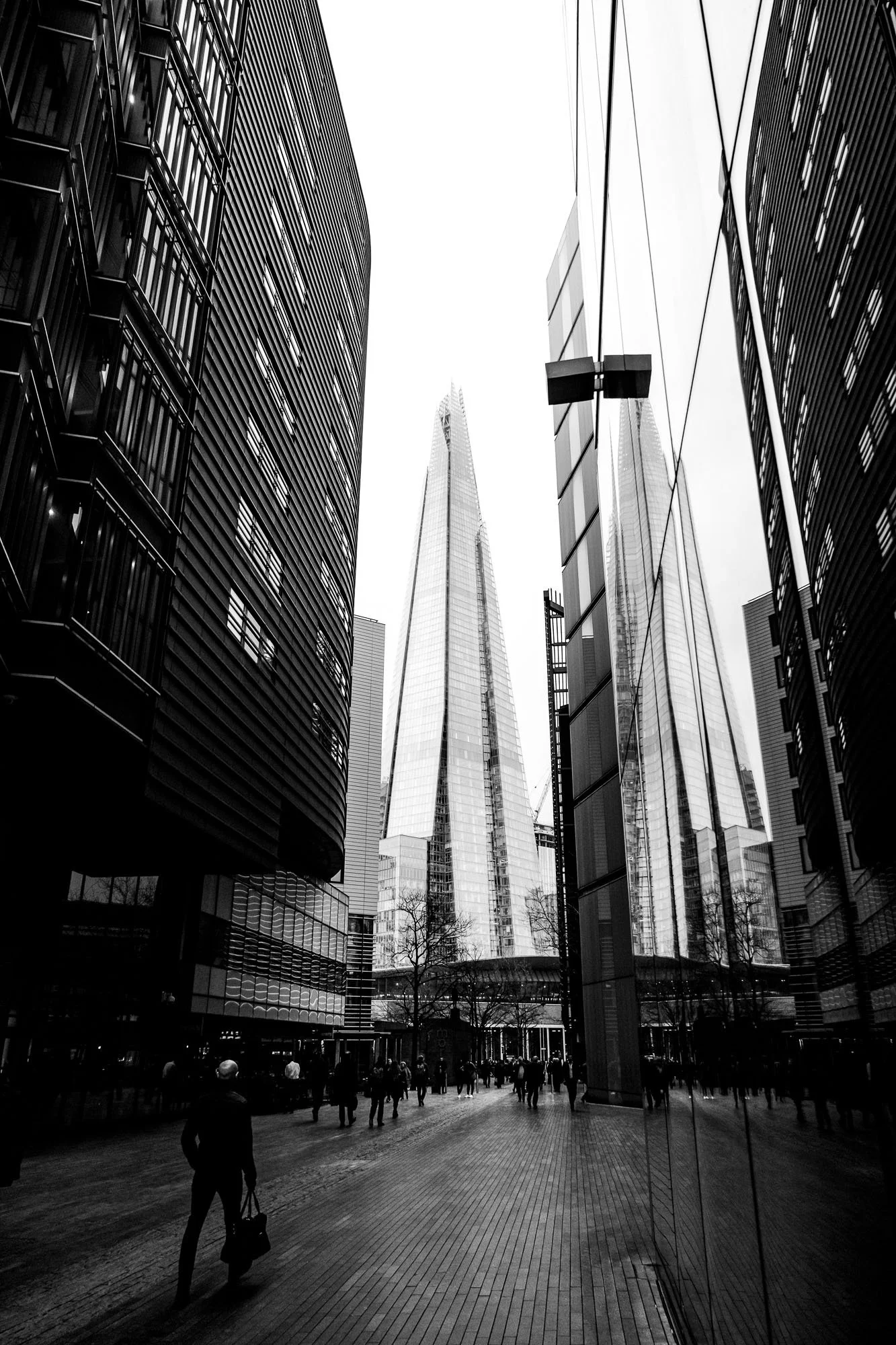 DSCF2561.jpg