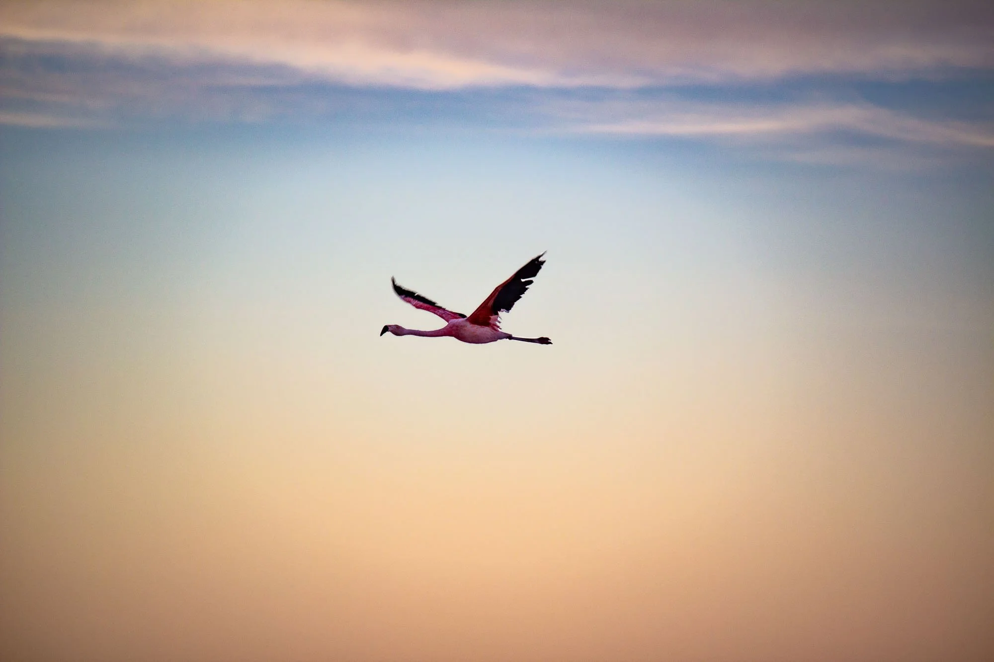 IMG_2015-Edit.jpg