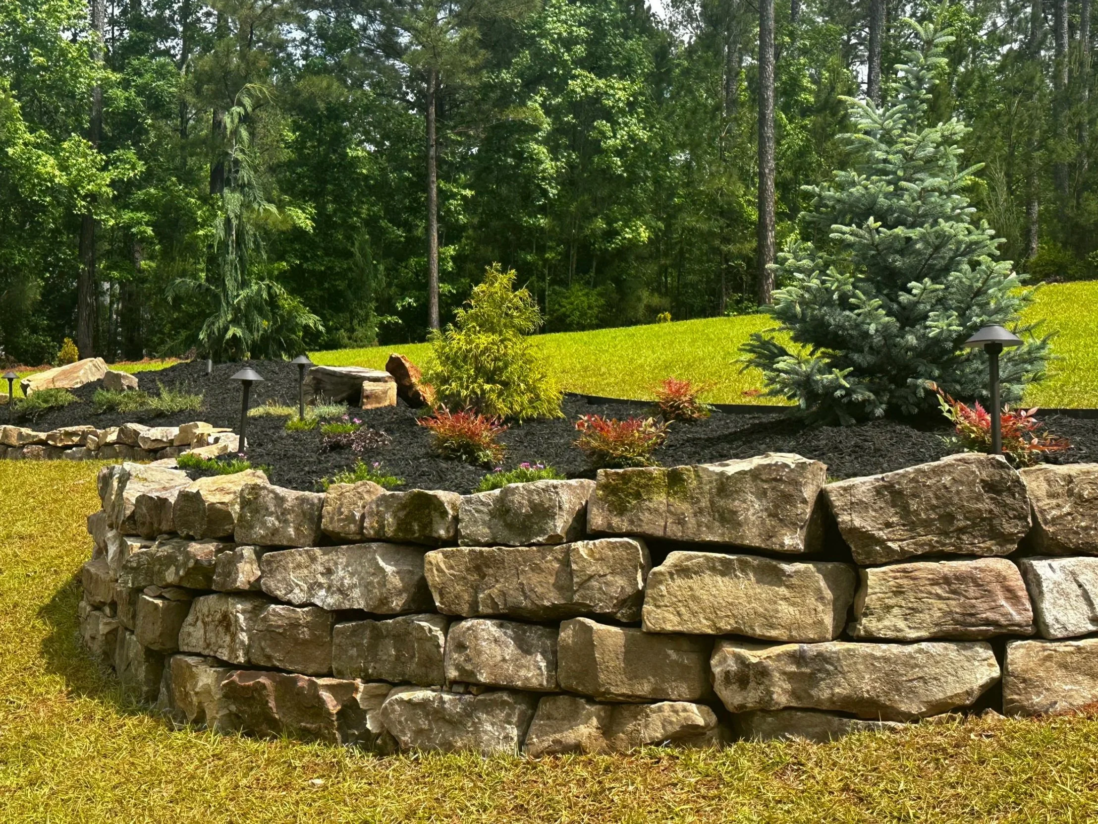 Backyard landscape with a stone retaining wall, small trees, and shrubs, set against a background of green grass and forest trees.