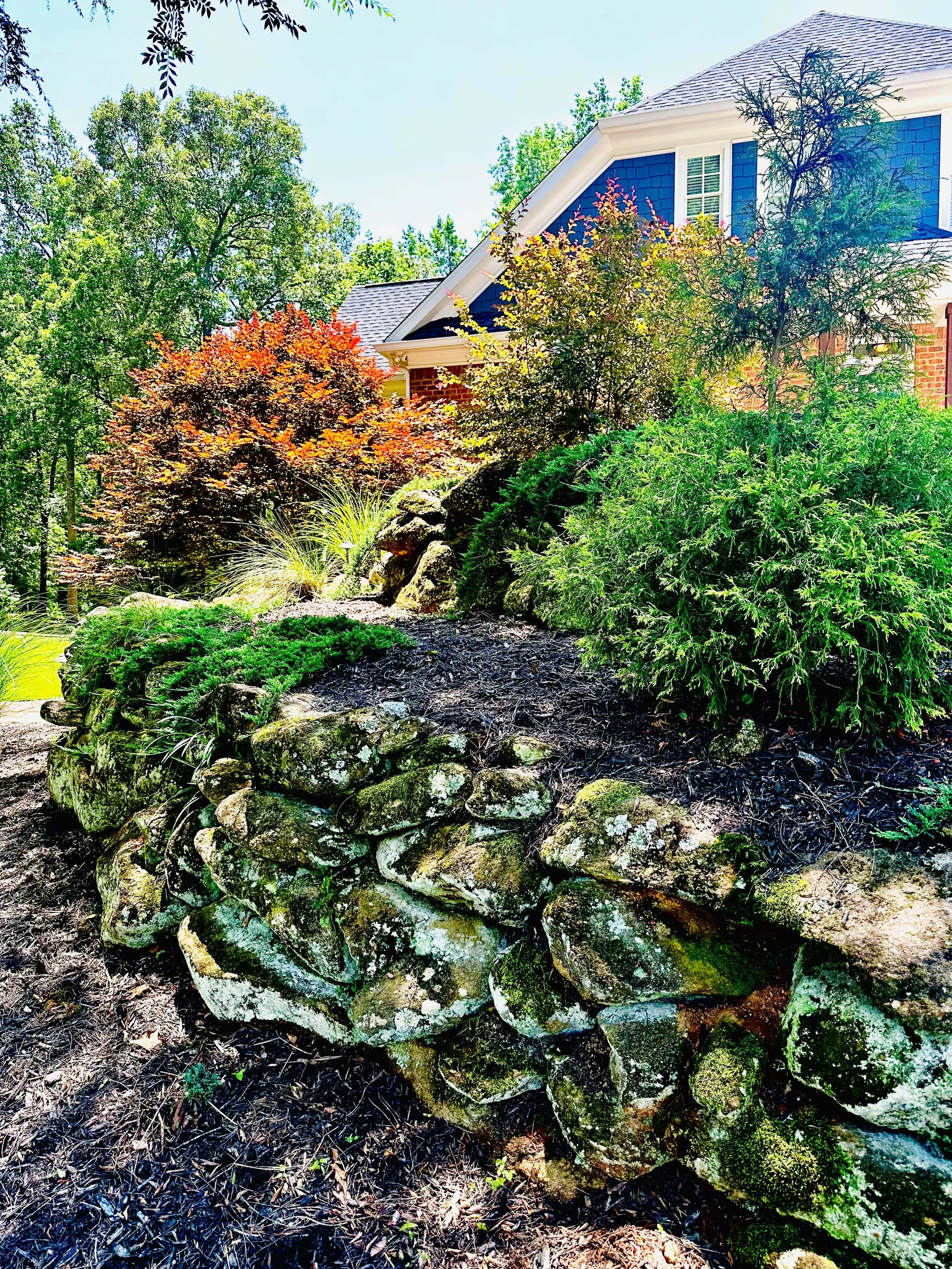 A landscaped garden with a rock border, various green bushes, and trees, in front of a house with blue siding and white trim.