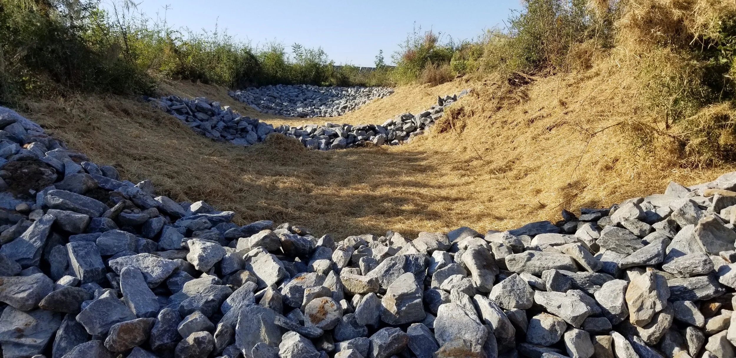 Photo Mar 21 2022, 3 36 29 PM.jpg